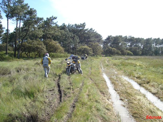 [DSC02830.JPG]
