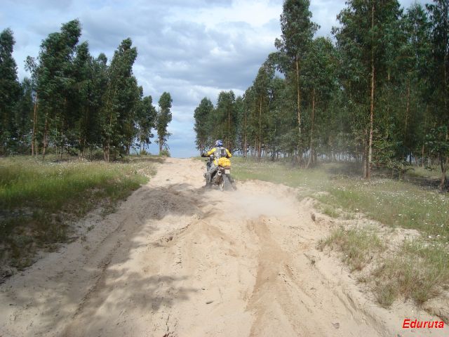 [DSC02893.JPG]