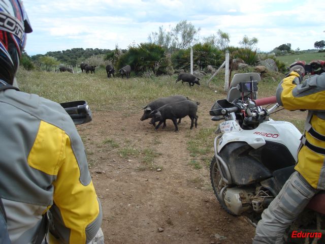 [DSC02974.JPG]