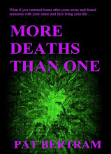 More Deaths Than One -- a novel by Pat Bertram
