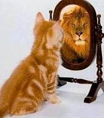 [kitten+lion+in++mirror+flikr.jpg]