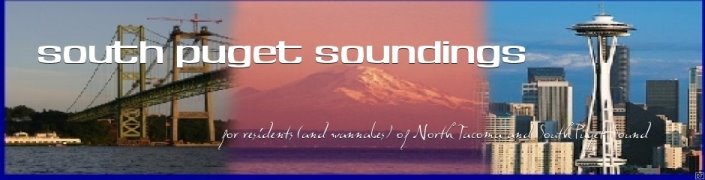 South Puget Soundings: Real Estate in North Tacoma