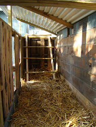 coop chicken coops pallet inside chickens cool flickr egg silkie shannon community perches roost awesome looks too ladder sharing think