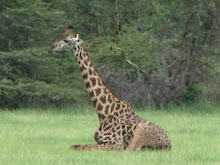 Lake Manyara National Park