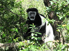 Arusha National Park