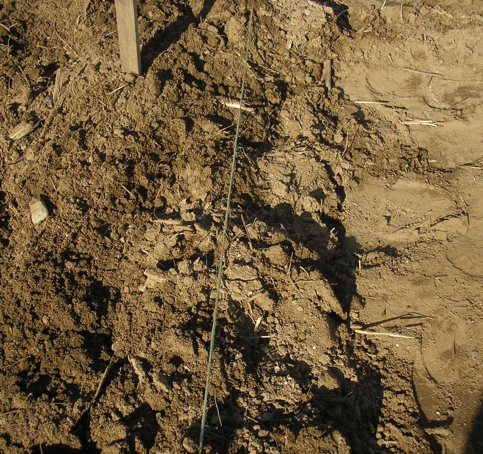 Vermont Food and Garden: Gardening in Sandy Soil