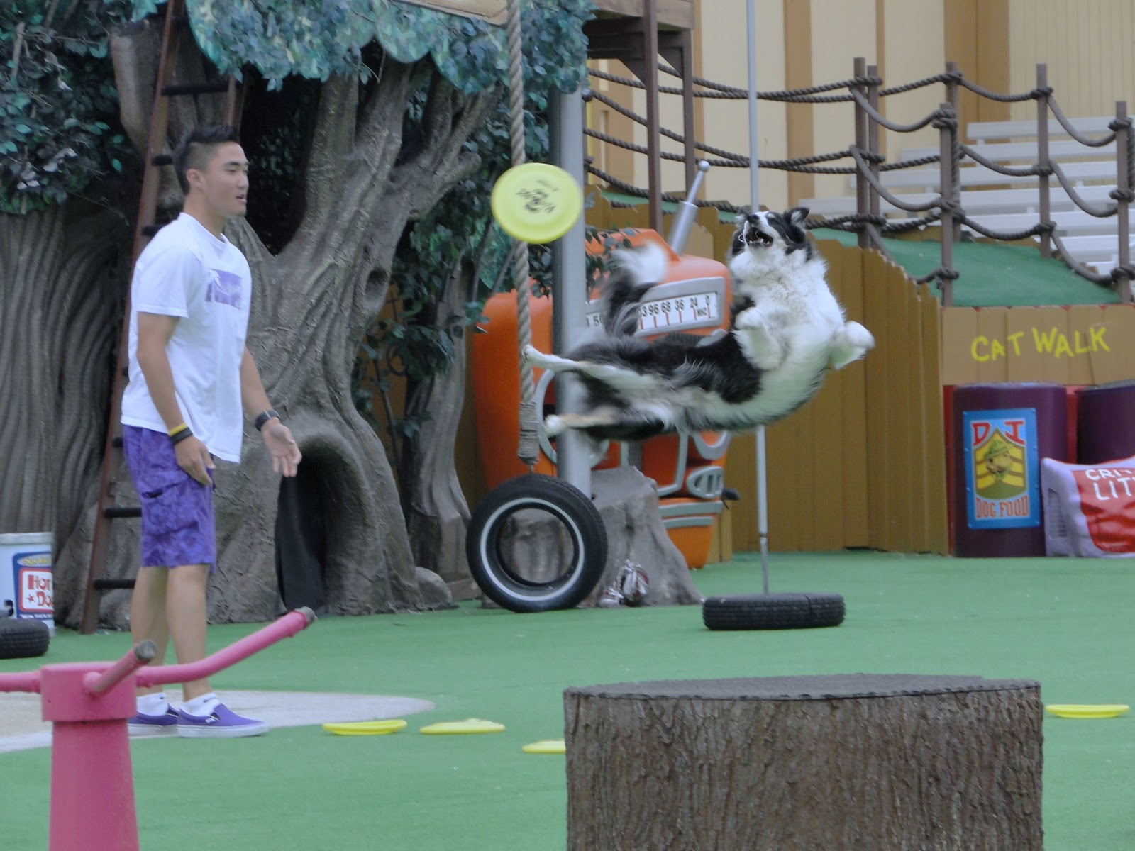 O.C. Smart Pets Pets Rule at SeaWorld San Diego!