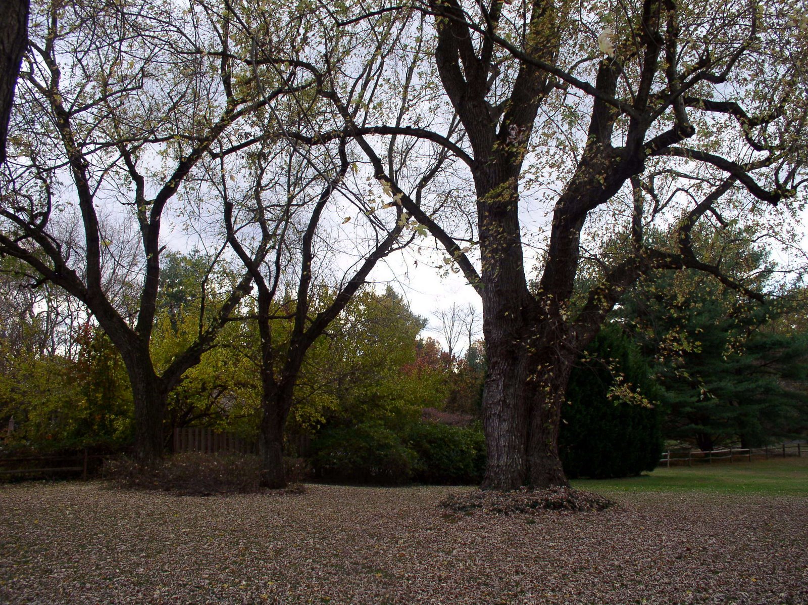 [P1010500.JPG]