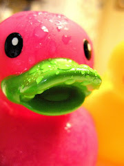 Pink duck