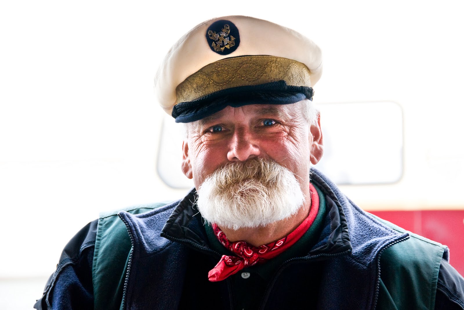 bearded-dragon-tank-smells-7 bearded-dragon-tank-smells-7