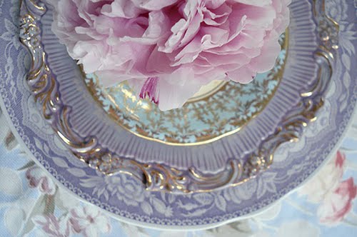 [3610156833_47cc0c671b.bmp]