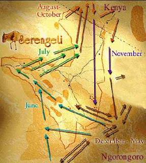 serengeti migration map