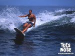 www.toesonthenose.com