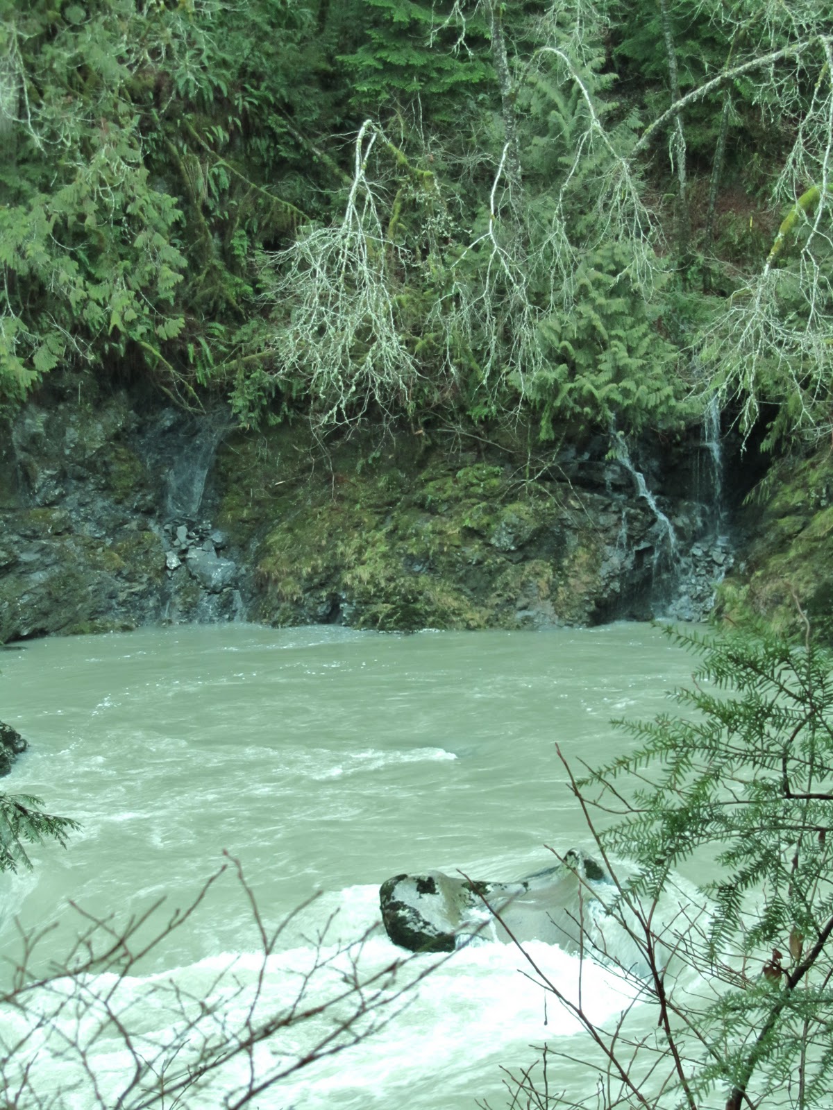 My Pacific Northwest Lime Kiln Trail Granite Falls