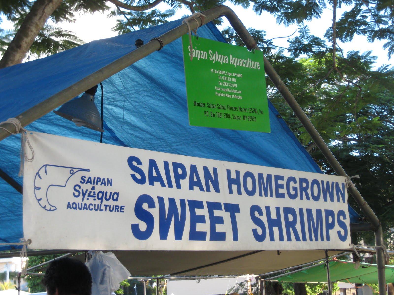 Jen and Stan in Saipan Street Market Tuesday