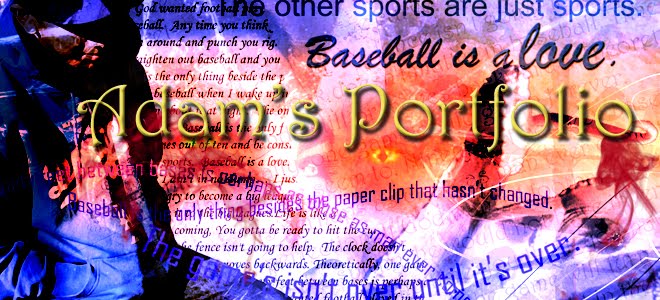 Adam's Portfolio