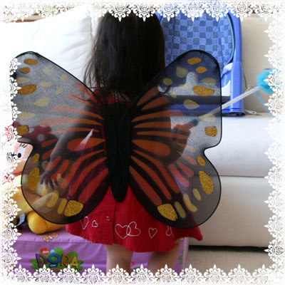 [ButterflyWings1_100.jpg]