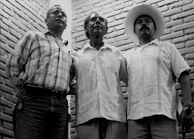 Colaboradores del Colectivo en la Cuenca del Papaloapan