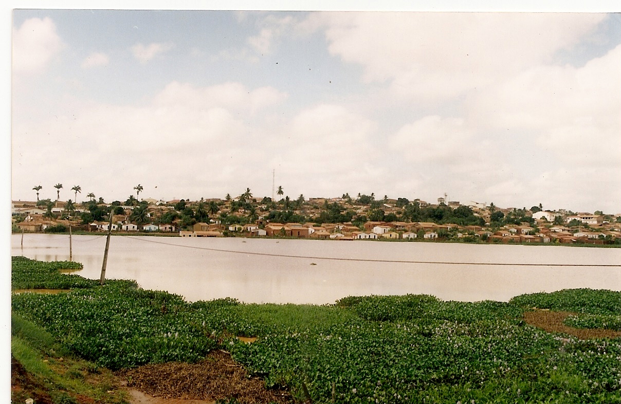 Oliveira Açude de Ribeira do Pombal 2004 A resposta da natureza I