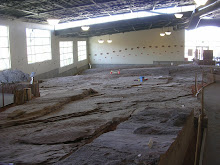 Dinosaur tracks museum