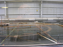 The real Monitor turret