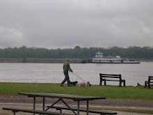 Slow-going pushboat