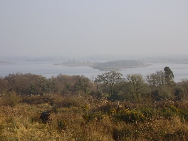 Lough Gara