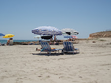 On Playa Flamenca beach