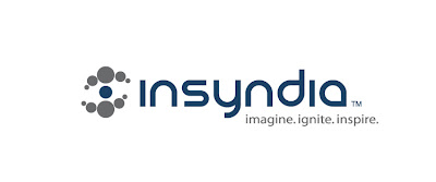 Insyndia Logo Design Process