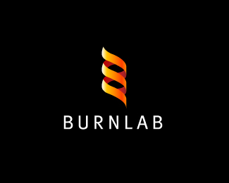 BurnLab Logo Design