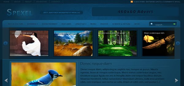 Spexel WordPress Theme