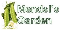[mendelsgarden.jpg]
