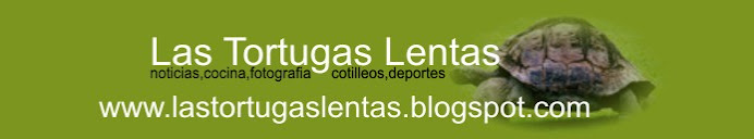 Las Tortugas Lentas