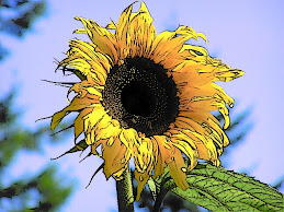for the beauty of the earth