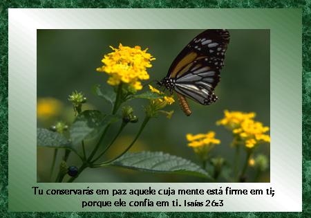 [foto_po_046_is_26_03.jpg]