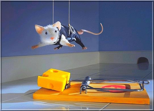 [missão+impossivel.jpg]