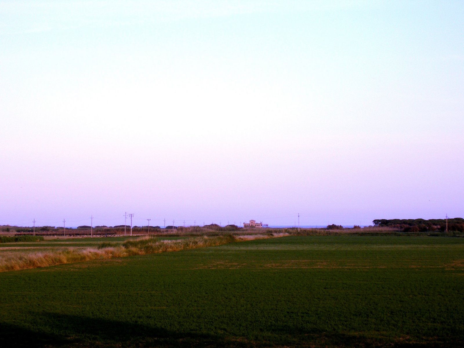 [P1010638.JPG]