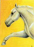 coloured pencil horse Shake a Paw? Copyright Jennifer Rose Phillip