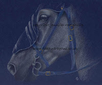  grey horse in coloured pencil White Knight Copyright Jennifer Rose Phillip