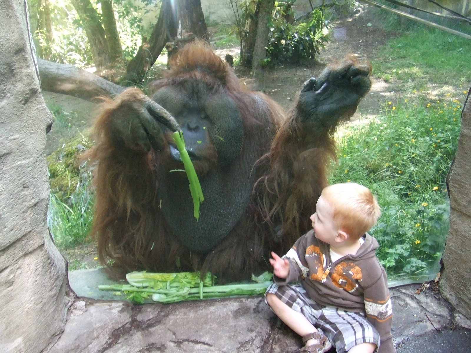 [DSCF2687.JPG]