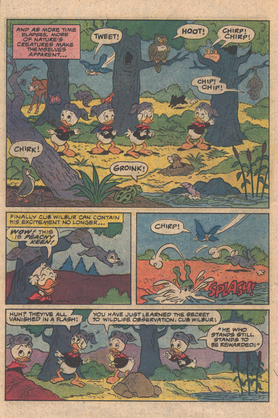 Read online Huey, Dewey, and Louie Junior Woodchucks comic -  Issue #64 - 26