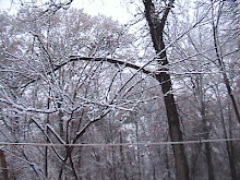 Snow on Dec. 25, 2010