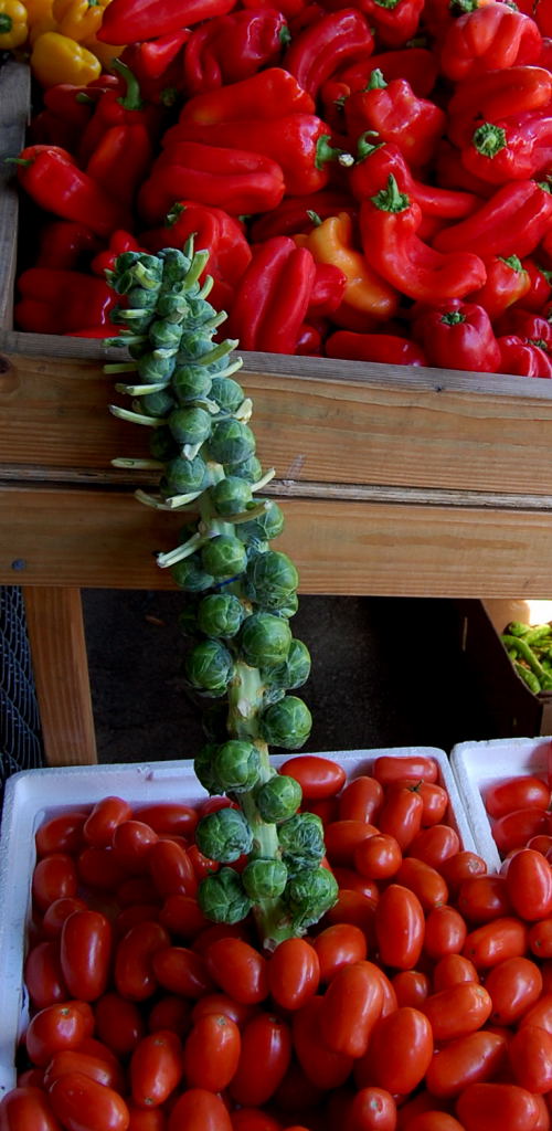 StephanieKimura Barbour's Produce vegetable and fruit stand in Jensen