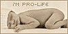 I'm Pro-Life