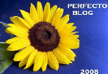 Premio Perfecto Blog 08