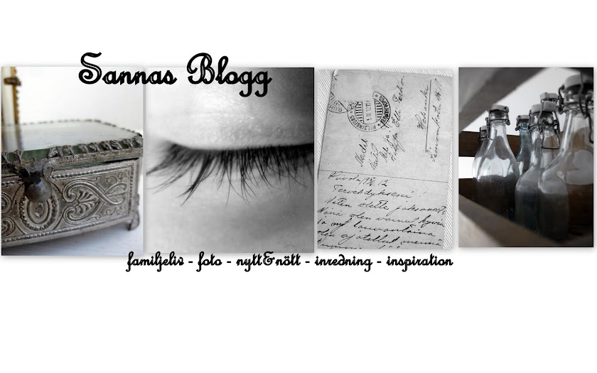 Sannas blogg