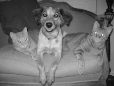 Pebbles and the Pussycats