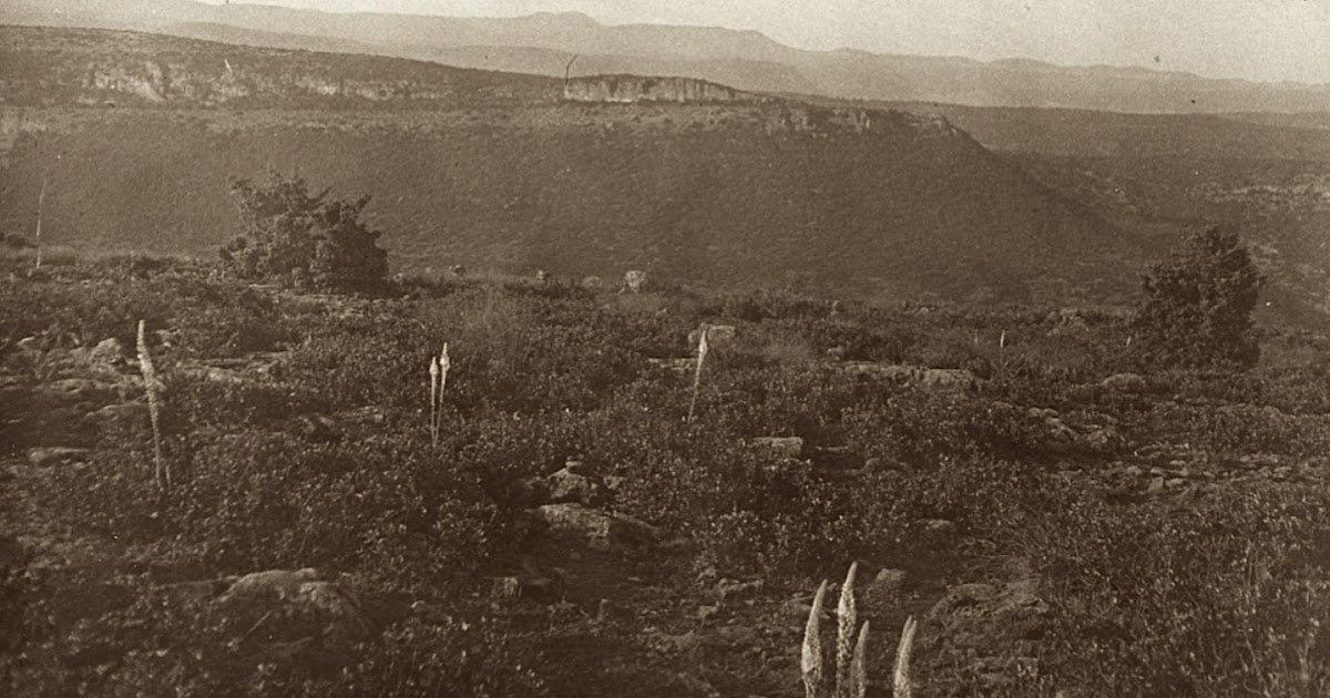 Les Beni Snous une Causerie faite par M. Roger Bellissant, instituteur.