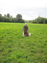 sascha and the hounds