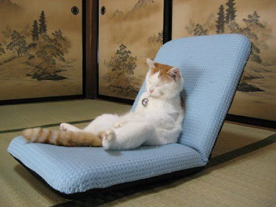 Cat_Lounge_Chair.jpg